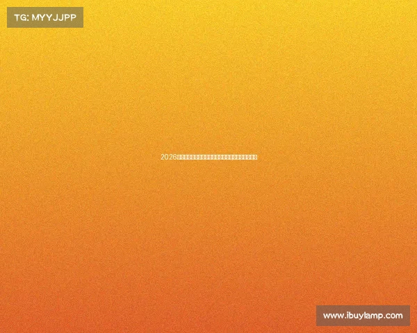 2026世界杯鲁能备战全解析球队阵容战术及夺冠前景展望
